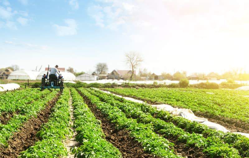 Estudo atualiza potencial agrícola das terras brasileiras em nível regional 2 Agricultura no Brasil