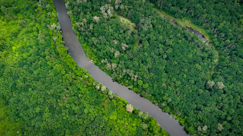 Novo programa fortalece inclusão financeira na sociobioeconomia da Amazônia e Cerrado 3 Amazônia
