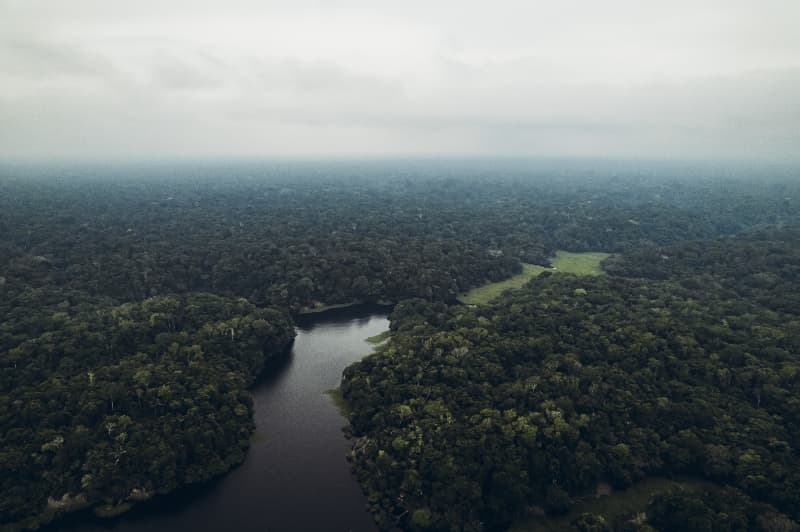 Agricultores familiares recebem repasses por conservação de áreas florestais na Amazônia 3 Amazônia