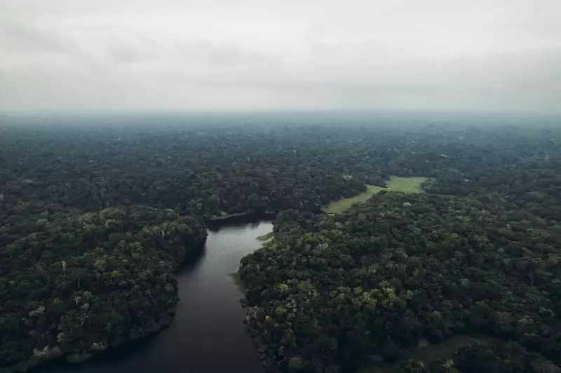 Amazônia