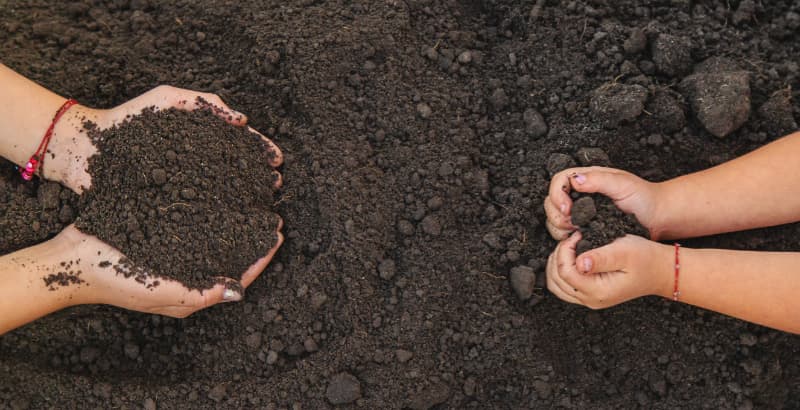 Estudo detalha distribuição de carbono orgânico no solo em regiões do Rio de Janeiro 2 Carbono no solo