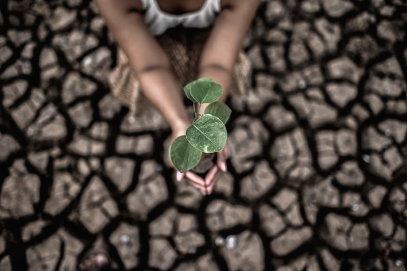Crise climática pode exigir US$ 6 trilhões em investimentos até 2030 2 Crise climática