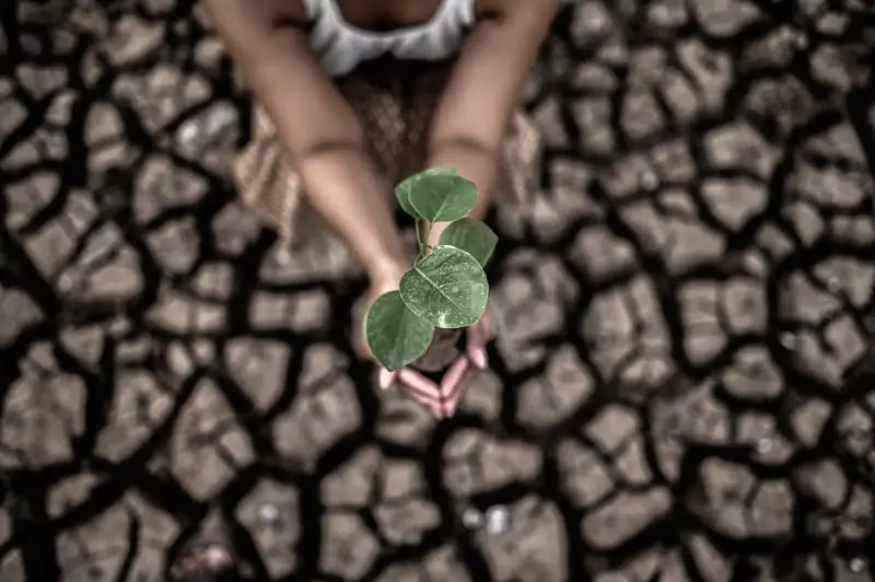 Crise climática