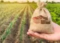 Custeio do crédito rural chega a R$ 298,6 bilhões em dez meses