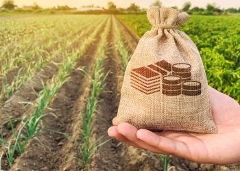 Custeio do crédito rural chega a R$ 298,6 bilhões em dez meses