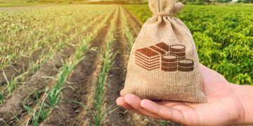 Custeio do crédito rural chega a R$ 298,6 bilhões em dez meses