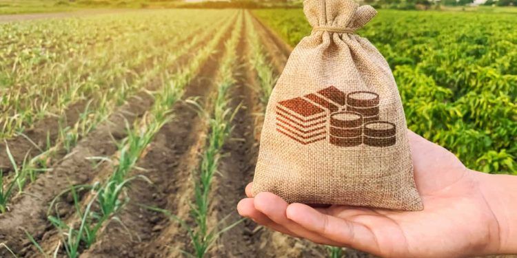 Custeio do crédito rural chega a R$ 298,6 bilhões em dez meses