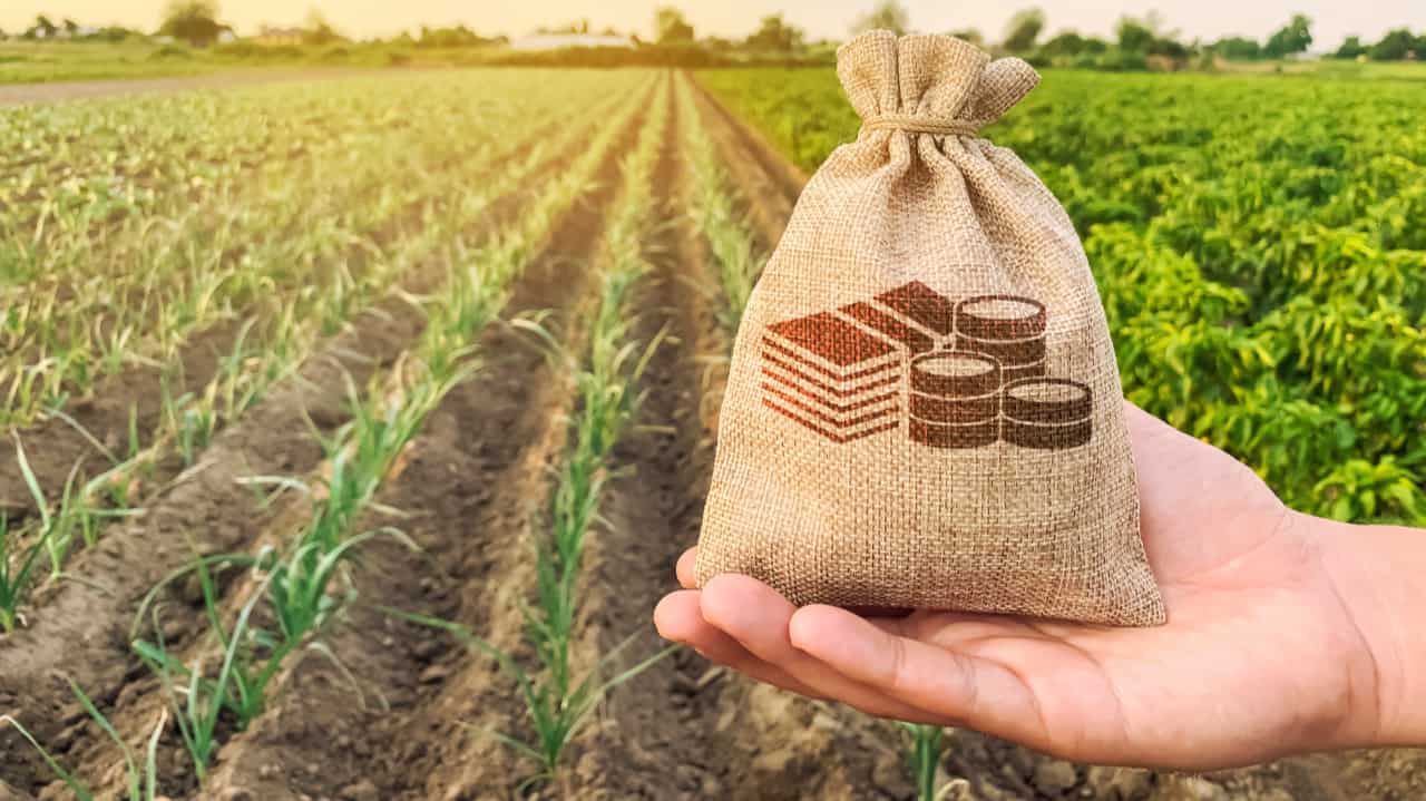 Custeio do crédito rural chega a R$ 298,6 bilhões em dez meses