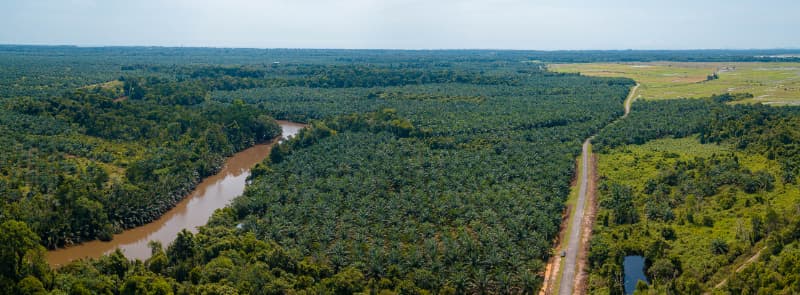 Dados do Inpe mostram alta nos alertas de desmatamento na Amazônia em abril 3 Desmatamento