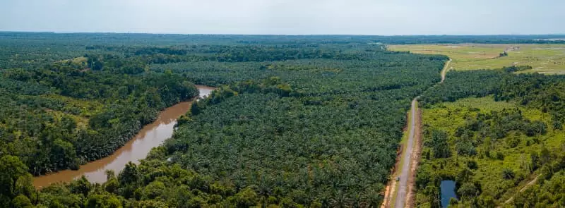 Alertas de desmatamento caem 35% na Amazônia Legal e 6% no Cerrado 2 Desmatamento