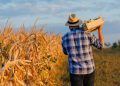Dia do Trabalhador: a força do agro que move o Brasil