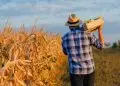 Dia do Trabalhador: a força do agro que move o Brasil