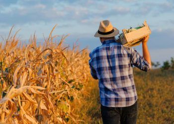 Dia do Trabalhador: a força do agro que move o Brasil