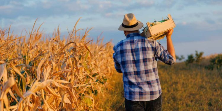 Dia do Trabalhador: a força do agro que move o Brasil