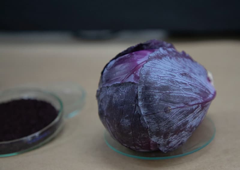 Tecnologia brasileira cria embalagem inteligente que muda de cor ao detectar alimento estragado 2 Embalagem inteligente