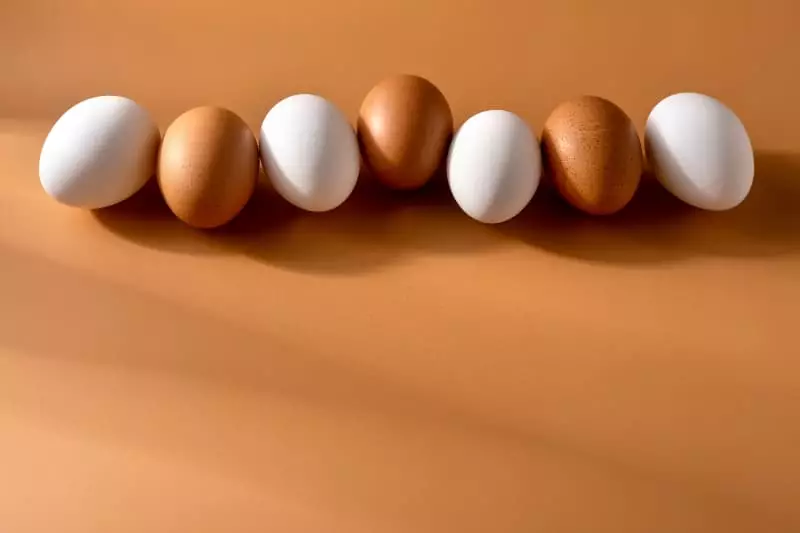 Exportações de ovos