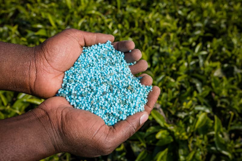 Fiscalização apreende 300 toneladas de fertilizantes irregulares em SP 2 Fertilizantes