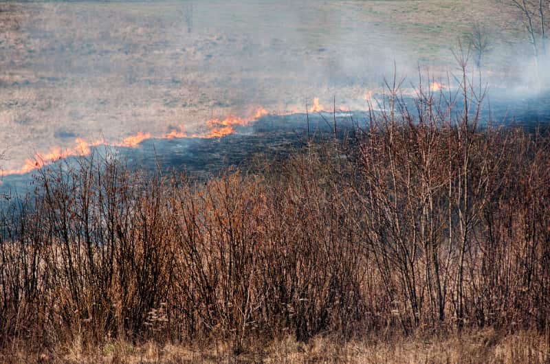 Nova câmara técnica vai unir esforços de união, estados e municípios contra incêndios 3 Incêndios