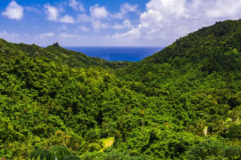 Mata Atlântica e Pampa passam a contar com planos específicos de proteção ambiental 2 Mata Atlântica
