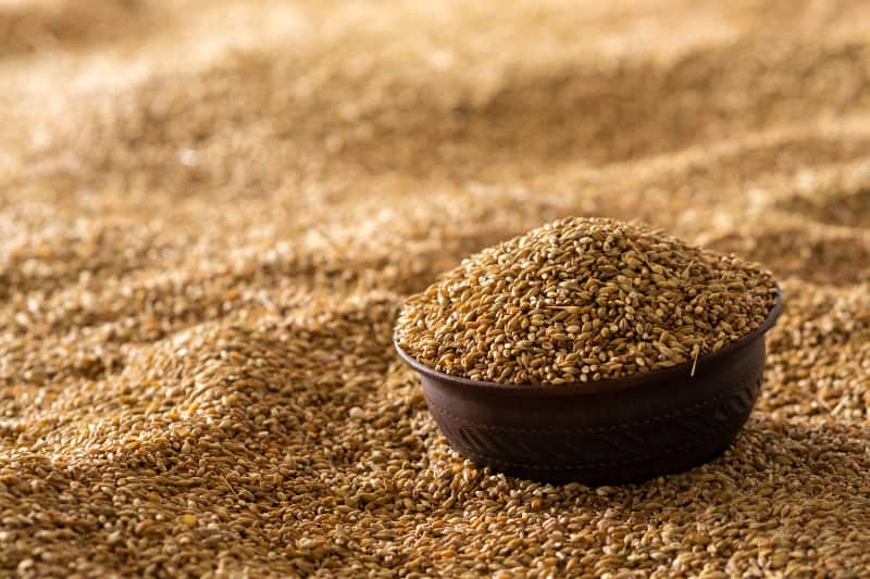 Moagem de trigo apresenta crescimento de 3% no Brasil em 2024 2 Moagem de trigo