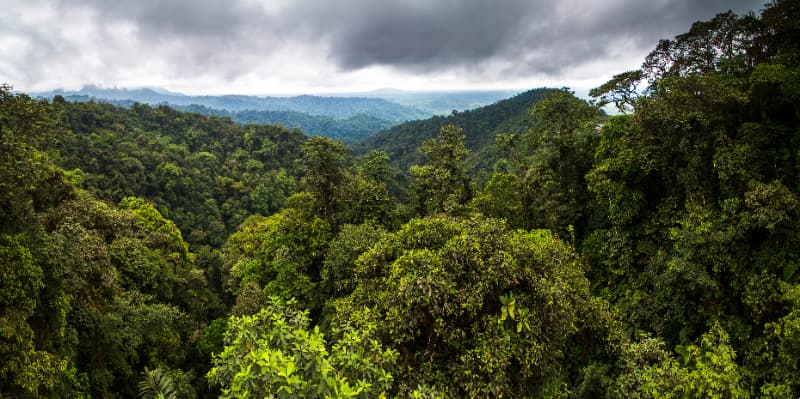 Mata Atlântica e Pampa passam a contar com planos específicos de proteção ambiental 3 Pampa