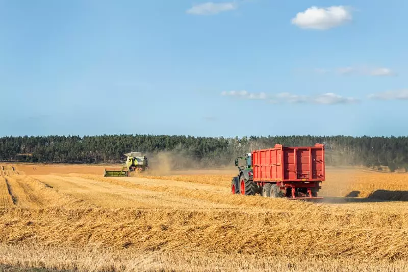 CMN autoriza prorrogação de dívidas de produtores do RS afetados pela seca 2 Produtores do RS