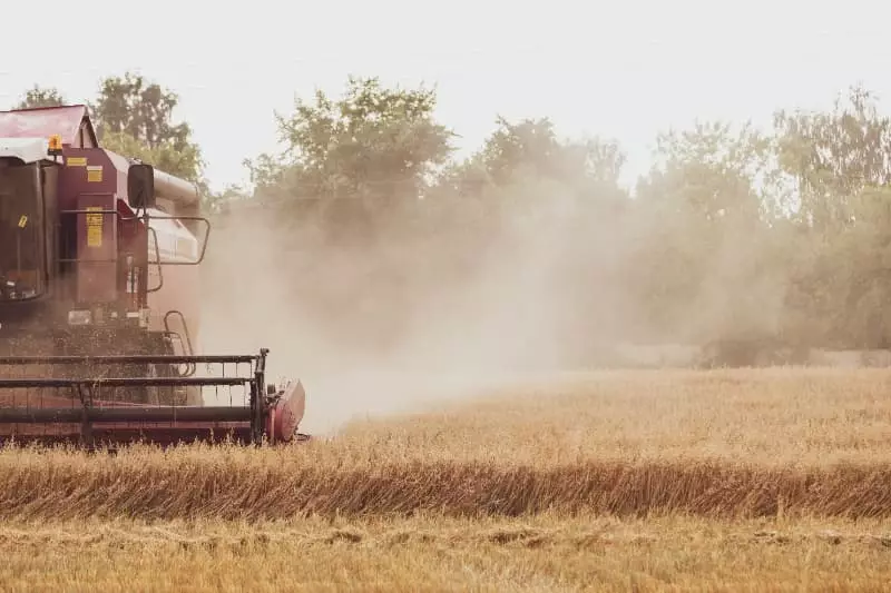 CMN autoriza prorrogação de dívidas de produtores do RS afetados pela seca 3 Produtores rurais