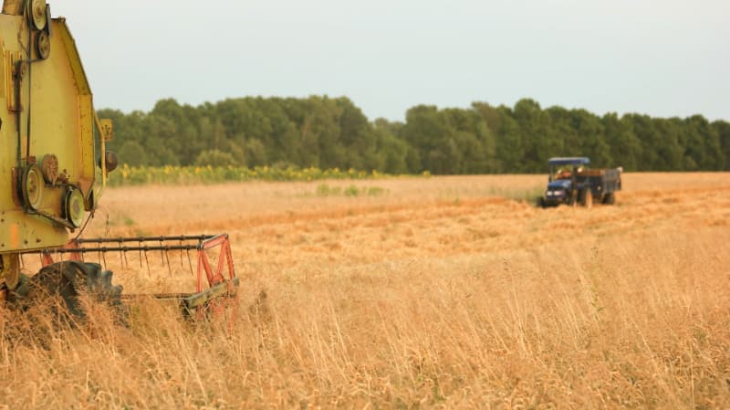 Seguro rural terá R$ 179 milhões disponíveis para contratação em maio 2 Seguro rural