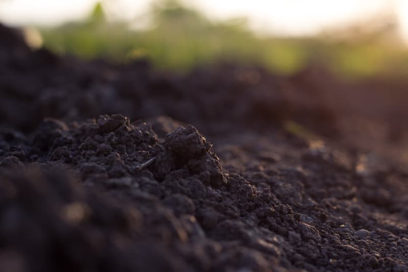 Estudo detalha distribuição de carbono orgânico no solo em regiões do Rio de Janeiro 3 Solo