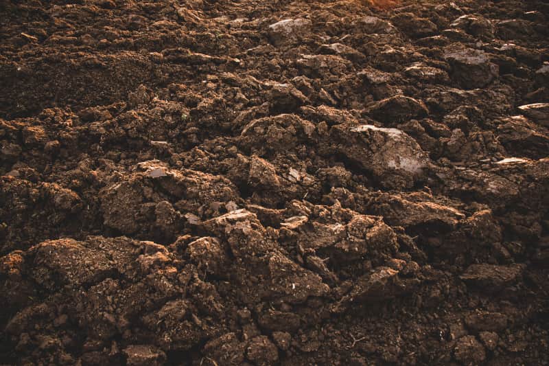 Programa Solo Vivo inicia recuperação de solos agrícolas em Mato Grosso 2 Solo