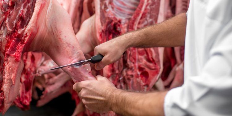 Abate de bovinos suínos e frangos avança no 1° trimestre de 2025