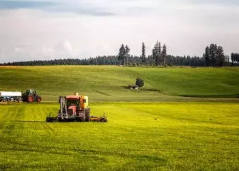 Agricultura familiar terá R$ 89 bilhões em investimentos no Plano Safra 2025/2026