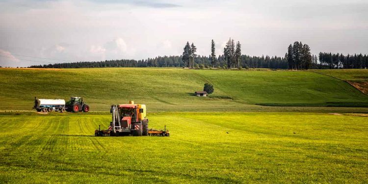 Agricultura familiar terá R$ 89 bilhões em investimentos no Plano Safra 2025/2026