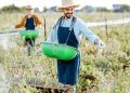 Agronegócio brasileiro registra recorde de trabalhadores no primeiro trimestre de 2025