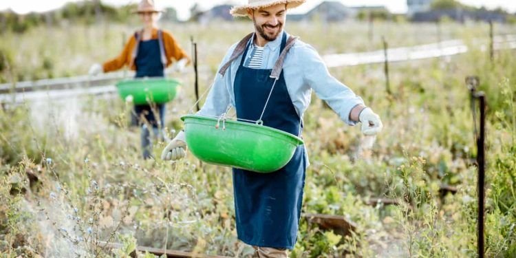 Agronegócio brasileiro registra recorde de trabalhadores no primeiro trimestre de 2025