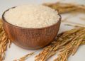 Arroz registra queda significativa e alcança valor mínimo em três anos