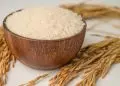 Arroz registra queda significativa e alcança valor mínimo em três anos