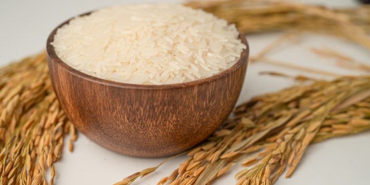 Arroz registra queda significativa e alcança valor mínimo em três anos