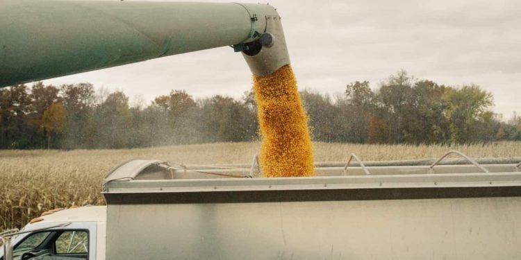 Balança comercial de Goiás registra superávit de US$ 3,2 bilhões no 1° semestre de 2025