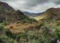 Brasil estabelece novo plano para preservação da biodiversidade