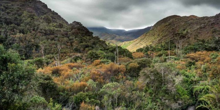 Brasil estabelece novo plano para preservação da biodiversidade