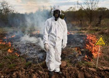 Crimes ambientais ultrapassam 41 mil em nove estados entre 2023 e 2024