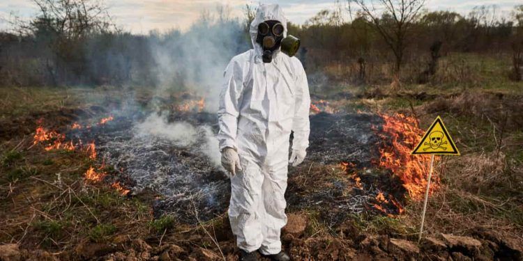 Crimes ambientais ultrapassam 41 mil em nove estados entre 2023 e 2024
