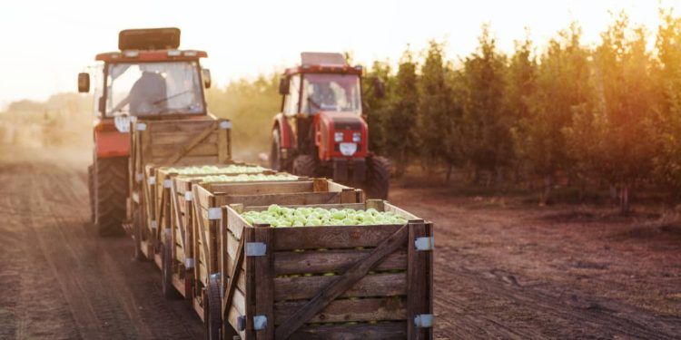 Exportações do agro somam US$ 14,9 bilhões em maio