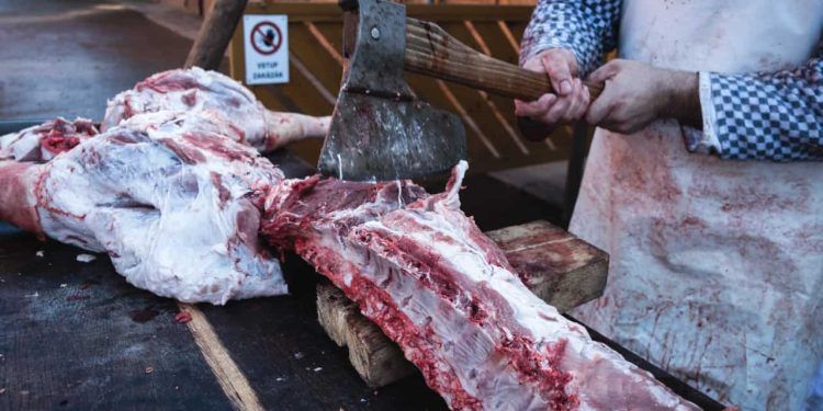Goiás inicia 2025 com recorde no abate de bovinos e avanço nas exportações