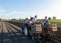 Goiás inicia coleta dados para traçar panorama da agricultura familiar