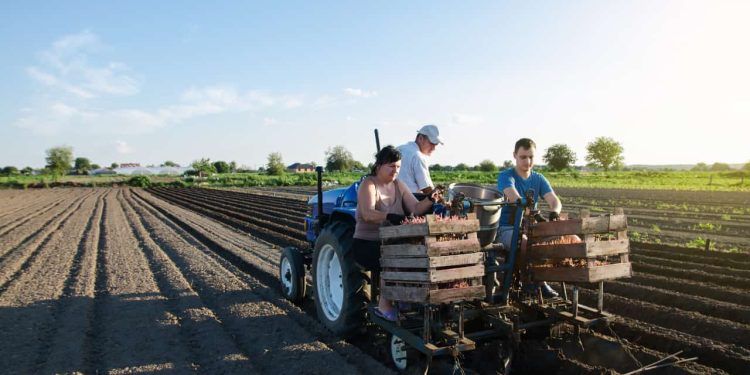 Goiás inicia coleta dados para traçar panorama da agricultura familiar