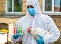 Goiás intensifica vigilância contra influenza aviária após caso em Brasília