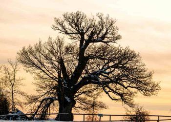 Inverno começa no Brasil com previsão de frio intenso e geadas em várias regiões
