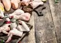 Japão suspende importações de carne de aves de GO e MT após registro de gripe aviária